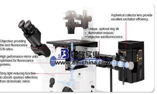 IX71-F22FLDIC熒光倒置顯微鏡