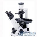 奧林巴斯CKX41-32FL熒光顯微鏡