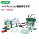 美國伯樂Bio-Rad Mini-Protean小垂直板電泳槽1658001