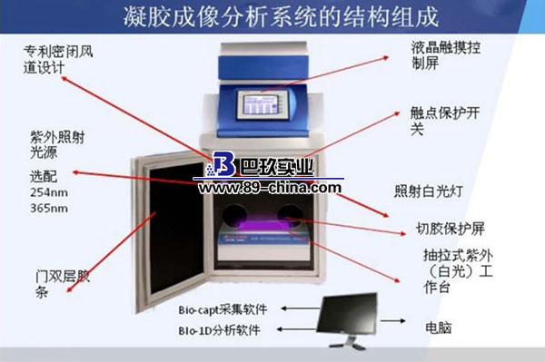 凝膠成像結構組成圖